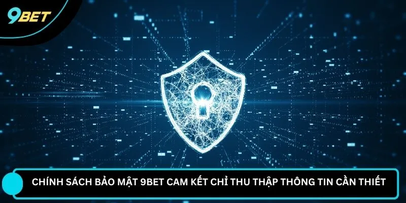 Chính sách bảo mật 9BET cam kết chỉ thu thập thông tin cần thiết
