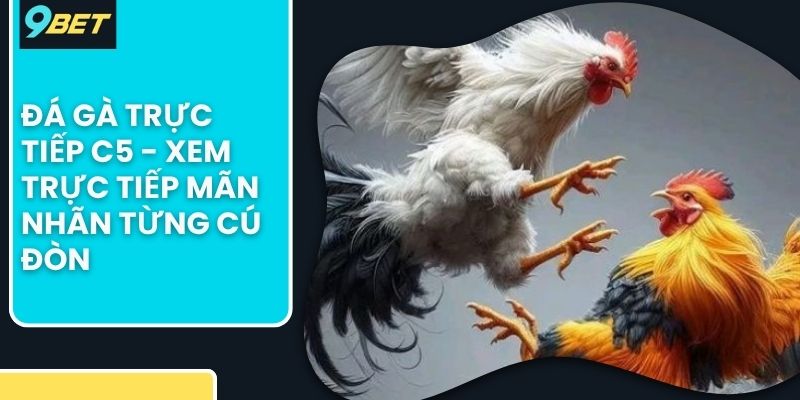 đá gà trực tiếp C5